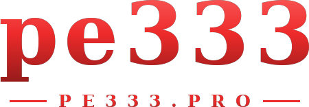 pe333 logo